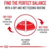 Royal Canin Adult Fit & Active Dry Adult Cat Food, 3 lb bag(3 Pound (Pack of 1))