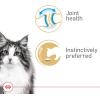 Royal Canin Aging 12+ Thin Slices in Gravy Canned Cat Food, 3 Oz Can (6-Pack)(3 Ounce (Pack of 24))