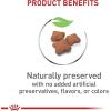 Royal Canin Appetite Control Spayed/Neutered 12+ Dry Adult Cat Food, 7 lb bag(2.5 Pound (Pack of 1))