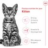 Royal Canin Appetite Control Spayed/Neutered 12+ Dry Adult Cat Food, 7 lb bag(2.5 Pound (Pack of 1))
