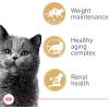 Royal Canin Appetite Control Spayed/Neutered 12+ Dry Adult Cat Food, 7 lb bag(7 Pound (Pack of 1))