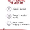 Royal Canin Appetite Control Spayed/Neutered Dry Adult Cat Food, 6 lb bag(14 Pound (Pack of 1))