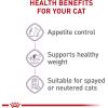 Royal Canin Appetite Control Spayed/Neutered Dry Adult Cat Food, 6 lb bag(3 Ounce (Pack of 24))