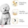 Royal Canin Bichon Frise Adult Dry Dog Food, 10 lb bag(10 Pound (Pack of 1))