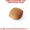 Royal Canin Bichon Frise Adult Dry Dog Food, 10 lb bag(3 Pound (Pack of 1))