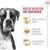Royal Canin Breed Health Nutrition Boxer Adult Loaf in Sauce Dog Food, 13.5 oz (Pack of 12)(30 Pound (Pack of 1))