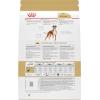 Royal Canin Breed Health Nutrition Boxer Adult Loaf in Sauce Dog Food, 13.5 oz (Pack of 12)(30 Pound (Pack of 1))