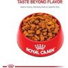 Royal Canin Breed Health Nutrition Boxer Adult Loaf in Sauce Dog Food, 13.5 oz (Pack of 12)(30 Pound (Pack of 1))
