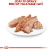Royal Canin Breed Health Nutrition Chihuahua Adult Loaf in Sauce Dog Food, 3 oz (Pack of 6)(1 Count (Pack of 12))