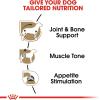 Royal Canin Breed Health Nutrition Dachshund Adult Loaf in Sauce Wet Dog Food, 3 oz can (24-Count)(3 Ounce (Pack of 24))