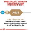 Royal Canin Breed Health Nutrition Dachshund Adult Loaf in Sauce Wet Dog Food, 3 oz can (24-Count)(3 Ounce (Pack of 24))