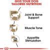 Royal Canin Breed Health Nutrition Dachshund Adult Loaf in Sauce Wet Dog Food, 3 oz can (24-Count)(3 Ounce (Pack of 4))