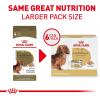 Royal Canin Breed Health Nutrition Dachshund Adult Loaf in Sauce Wet Dog Food, 3 oz can (24-Count)(3 Ounce (Pack of 6))
