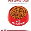 Royal Canin® Breed Health Nutrition German Shepherd Adult 5+ Dry Dog Food, 28 lb(28 Pound (Pack of 1))