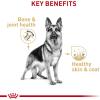 Royal Canin Breed Health Nutrition German Shepherd Adult Loaf in Sauce Dog Food, 13.5 oz (Pack of 12)