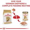 Royal Canin Breed Health Nutrition German Shepherd Adult Loaf in Sauce Dog Food, 13.5 oz (Pack of 12)