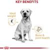 Royal Canin Breed Health Nutrition Labrador Retriever Adult Loaf in Sauce Dog Food, 13.5 oz (Pack of 12)(13.5 Ounce (Pack of 12))