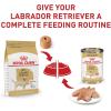 Royal Canin Breed Health Nutrition Labrador Retriever Adult Loaf in Sauce Dog Food, 13.5 oz (Pack of 12)(13.5 Ounce (Pack of 12))