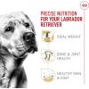 Royal Canin Breed Health Nutrition Labrador Retriever Adult Loaf in Sauce Dog Food, 13.5 oz (Pack of 12)(17 Pound (Pack of 1))