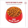 Royal Canin Breed Health Nutrition Labrador Retriever Adult Loaf in Sauce Dog Food, 13.5 oz (Pack of 12)(17 Pound (Pack of 1))