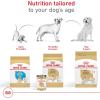 Royal Canin Breed Health Nutrition Labrador Retriever Adult Loaf in Sauce Dog Food, 13.5 oz (Pack of 12)(28 Pound (Pack of 1))