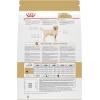 Royal Canin Breed Health Nutrition Labrador Retriever Adult Loaf in Sauce Dog Food, 13.5 oz (Pack of 12)(30 Pound (Pack of 1))