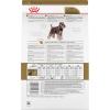 Royal Canin Breed Health Nutrition Miniature Schnauzer Puppy Dry Dog Food, 2.5 lb Bag(10 Pound (Pack of 1))