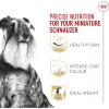 Royal Canin Breed Health Nutrition Miniature Schnauzer Puppy Dry Dog Food, 2.5 lb Bag(10 Pound (Pack of 1))