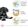 Royal Canin Breed Health Nutrition Miniature Schnauzer Puppy Dry Dog Food, 2.5 lb Bag(2.5 Pound (Pack of 1))