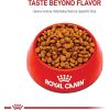 Royal Canin Breed Health Nutrition Miniature Schnauzer Puppy Dry Dog Food, 2.5 lb Bag(2.5 Pound (Pack of 1))
