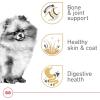 Royal Canin Breed Health Nutrition Pomeranian Adult Loaf in Sauce Dog Food, 3 oz (Pack of 6)(3 Ounce (Pack of 4))