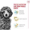 Royal Canin Breed Health Nutrition Poodle Puppy Dry Dog Food, 2.5 lb Bag