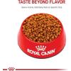 Royal Canin Breed Health Nutrition Poodle Puppy Dry Dog Food, 2.5 lb Bag