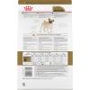 Royal Canin Breed Health Nutrition Pug Adult Dry Dog Food, 10 lb Bag(Chicken)