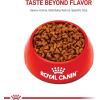 Royal Canin Breed Health Nutrition Pug Puppy Dry Dog Food, 2.5 lb Bag