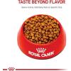 Royal Canin Breed Health Nutrition Shih Tzu Puppy Dry Dog Food, 2.5 lb Bag