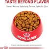 Royal Canin Canine Care Nutrition Large Joint Care Dry Dog Food, 30 Lb bag(30 Pound (Pack of 1))