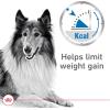 Royal Canin Canine Care Nutrition Weight Care Adult Loaf in Sauce Dog Food, 13.5 oz (Pack of 12)(13.5 Ounce (Pack of 12))