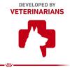 Royal Canin Canine Health Nutrition Adult Beauty Loaf in Sauce Dog Food, 5.2 oz (Pack of 12)