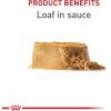 Royal Canin Canine Health Nutrition Puppy Canned Dog Food, 13.5 oz (Pack of 6)