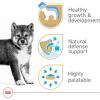 Royal Canin Canine Health Nutrition Puppy Canned Dog Food, 13.5 oz (Pack of 6)