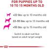 Royal Canin Canine Health Nutrition Puppy Loaf in Sauce Dog Food, 5.2 oz (Pack of 12)