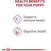 Royal Canin Canine Health Nutrition Puppy Loaf in Sauce Dog Food, 5.2 oz (Pack of 12)