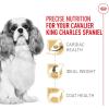 Royal Canin Cavalier King Charles Spaniel Adult Breed Specific Dry Dog Food, 10 lb bag(10 Pound (Pack of 1))
