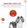Royal Canin Cavalier King Charles Spaniel Adult Breed Specific Dry Dog Food, 10 lb bag(10 Pound (Pack of 1))