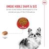 Royal Canin Chihuahua Adult Dry Dog Food, 10 lb bag(10 Pound (Pack of 1))