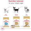 Royal Canin Chihuahua Adult Dry Dog Food, 10 lb bag(2.5 Pound (Pack of 1))