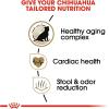 Royal Canin Chihuahua Adult Dry Dog Food, 10 lb bag(2.5 Pound (Pack of 1))