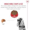 Royal Canin Cocker Spaniel Adult Dry Dog Food, 25 lb bag(6 Pound (Pack of 1))