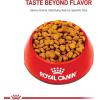 Royal Canin Dachshund Adult Breed Specific Dry Dog Food, 10 Lb bag(10 Pound (Pack of 1))